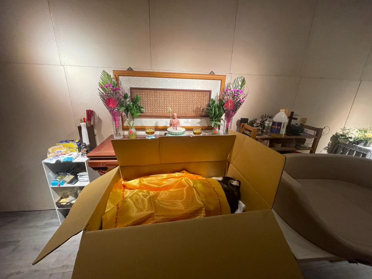 飼主心痛送愛犬最後一程。（飼主提供）
