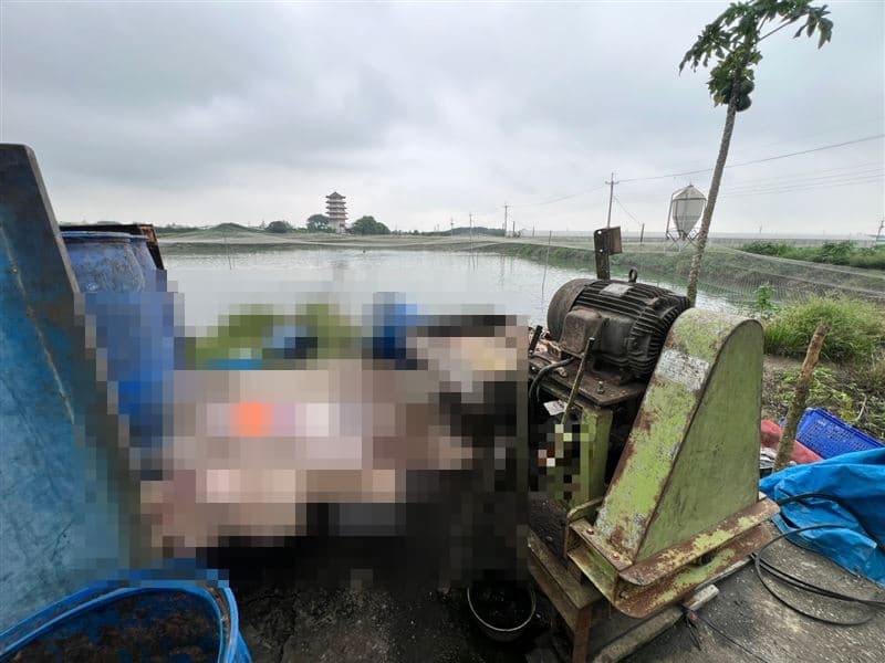 相關人員試圖幫忙尋找斷肢,但疑似已被絞肉機捲入破壞。(翻攝畫面)
