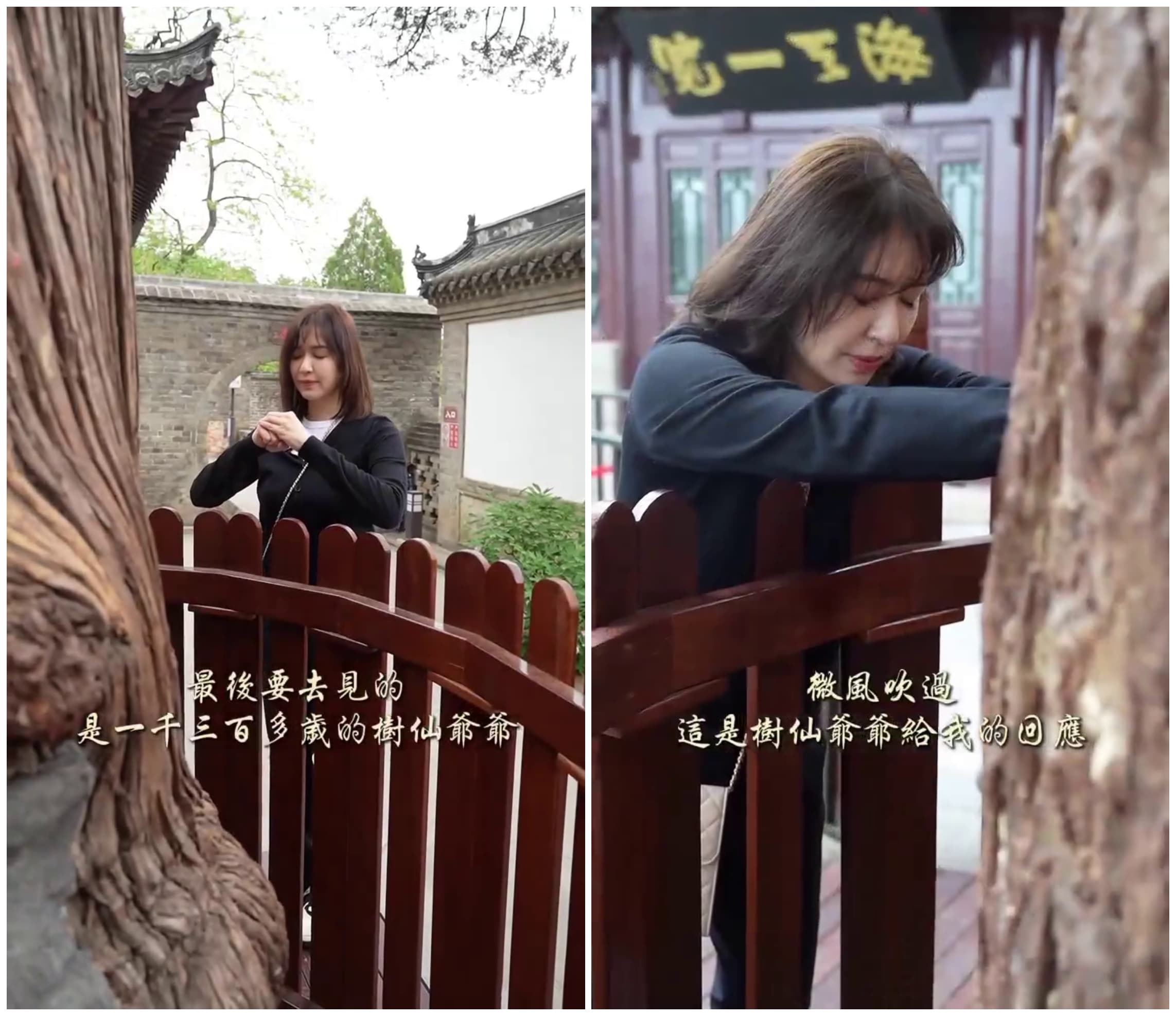 蔡依珊看到千年古樹,沈澱心靈。(翻攝pattytsai13 IG)