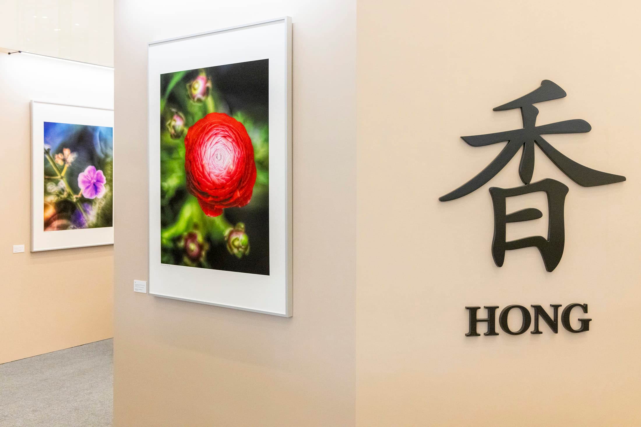 發哥透過攝影將花朵的嬌豔與脆弱展現得淋漓盡致。（海港城提供）