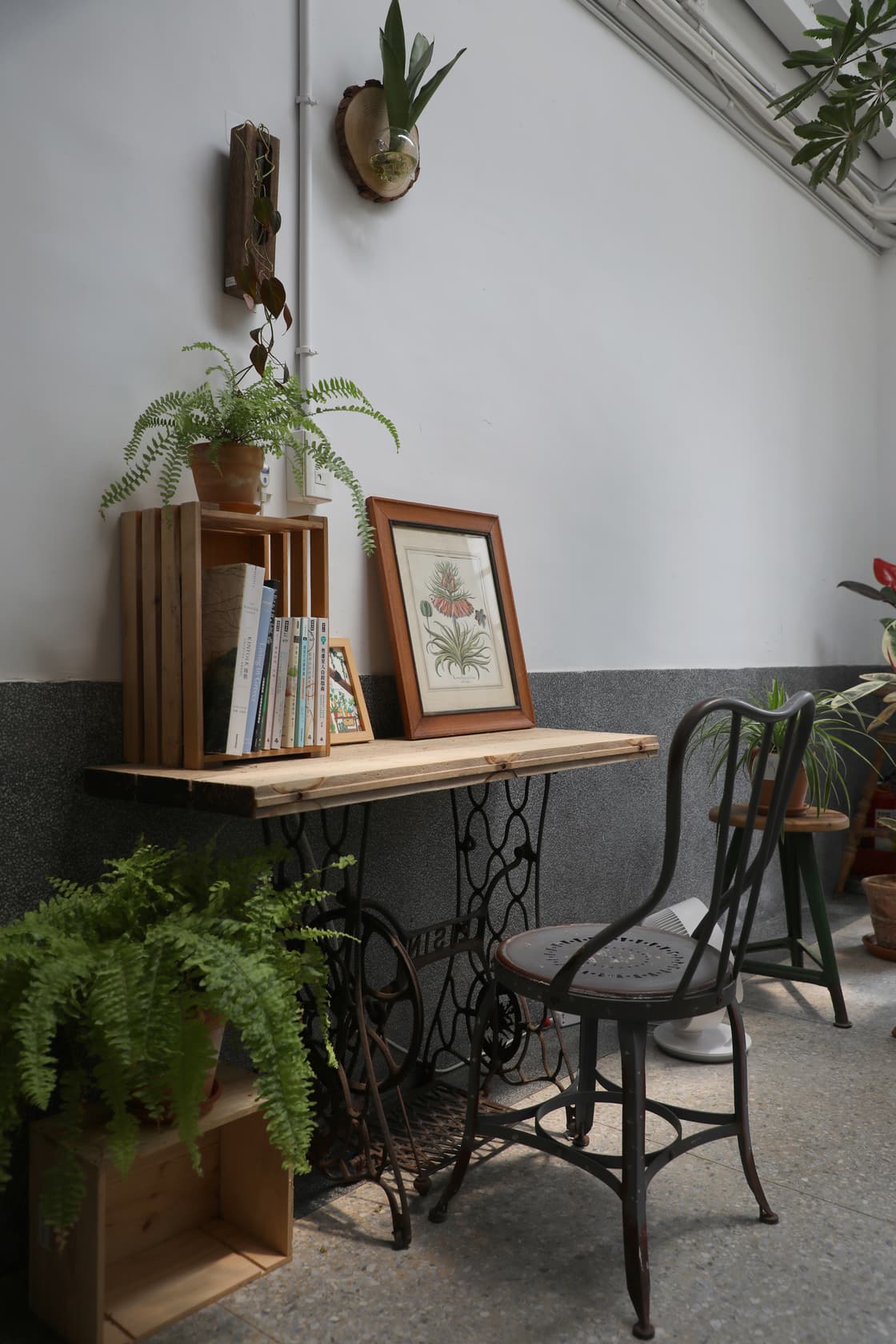 老針車靜靜的與老屋、植栽和書籍共處。