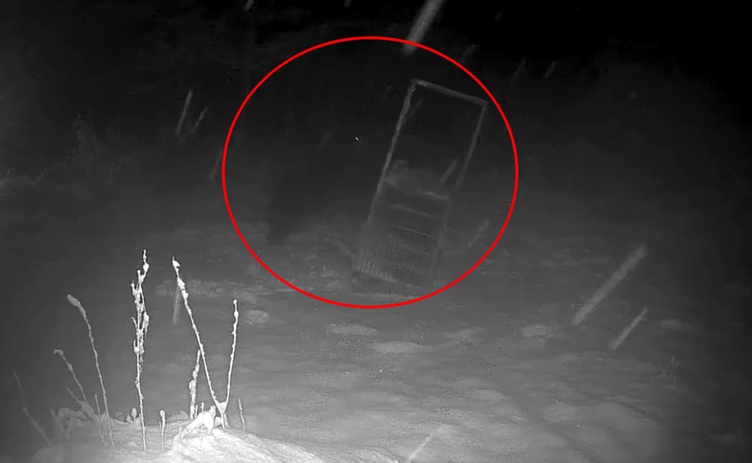巨熊以前掌推倒破壞捕熊陷阱,獵友會正加強巡邏與安全措施。而9月同地區曾目擊巨熊,研判可能為同一隻。(翻攝自youtube/ 北海道ニュースUHB)