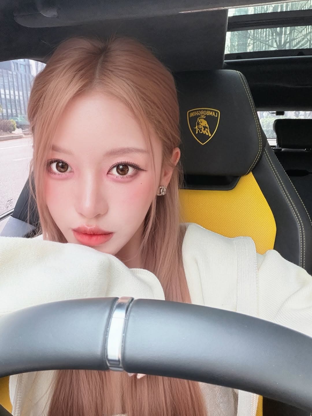 蔡瑞雪財力雄厚，疑似購入千萬超跑。（翻攝自snowbabyq IG）