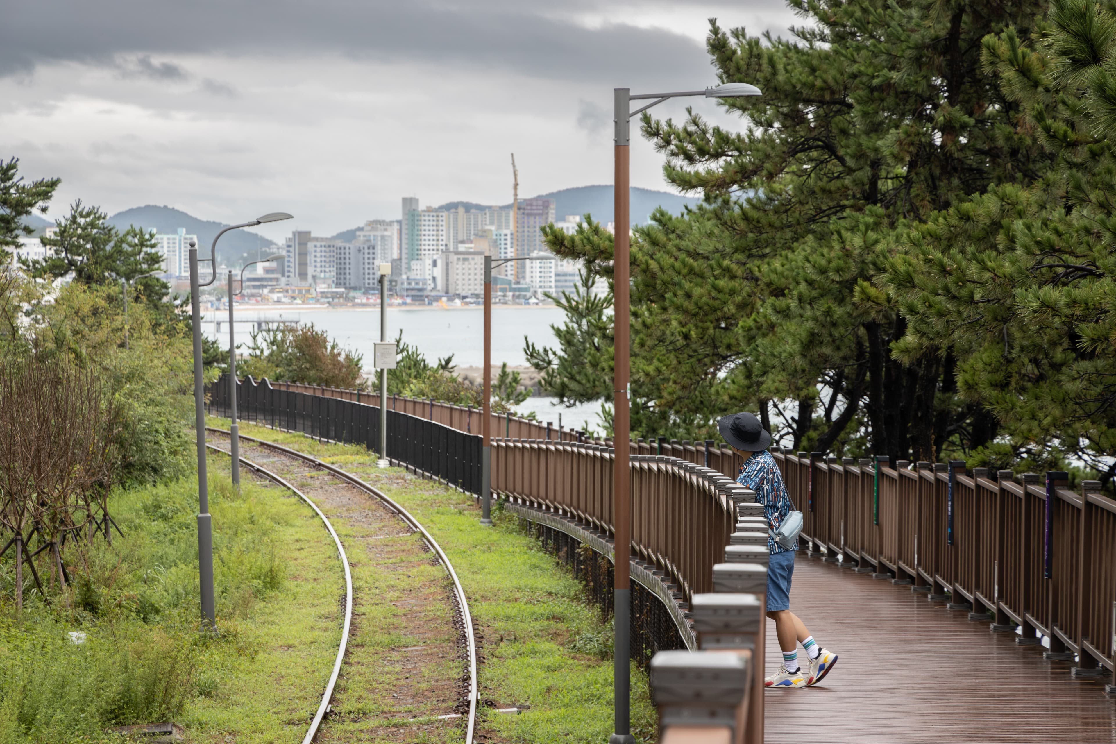 電車軌道旁也有行人步道。