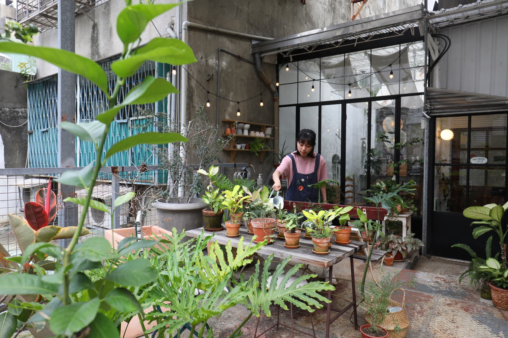 每天細心的關照植物也是店裡員工主要工作之一。