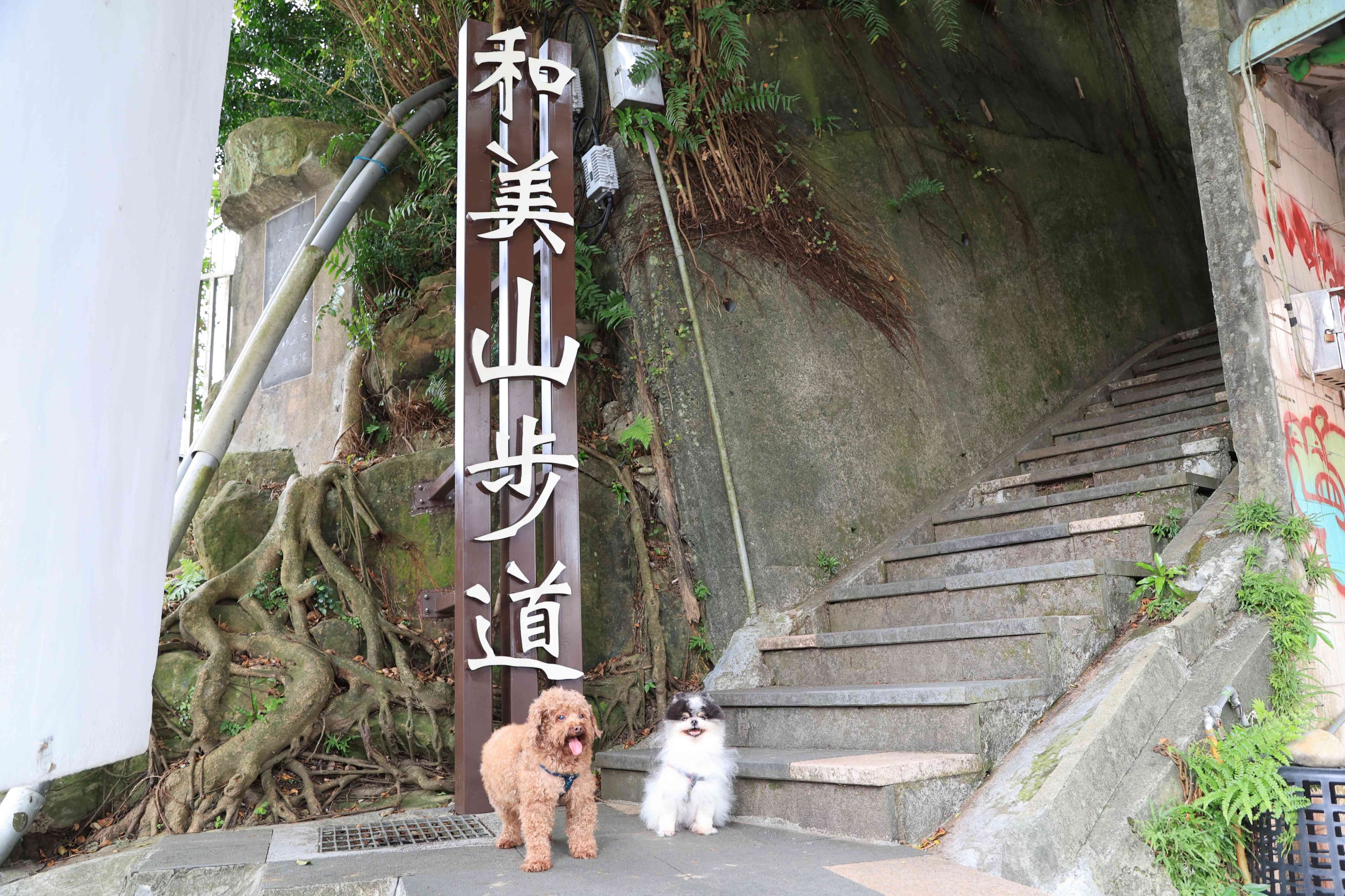 新店區和美山。（新北市政府提供）