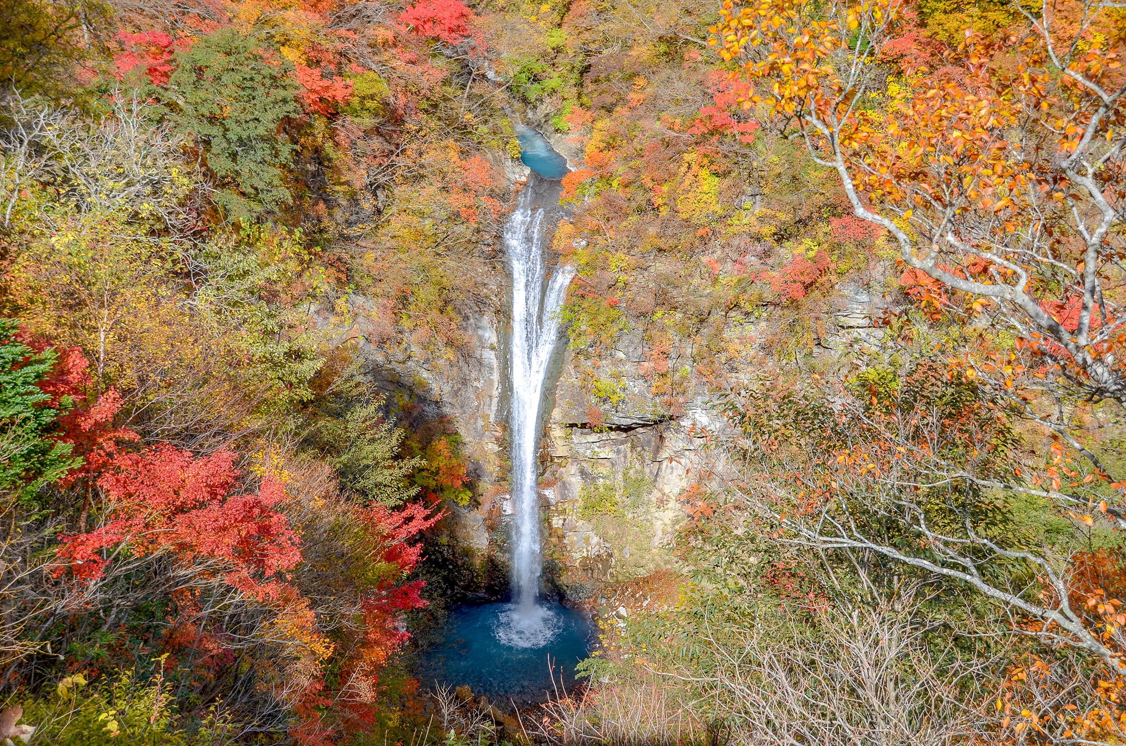 那須高原的駒止瀑布以紅黃相間的楓紅，以及湛藍水潭與滂薄瀑布吸引遊客造訪。