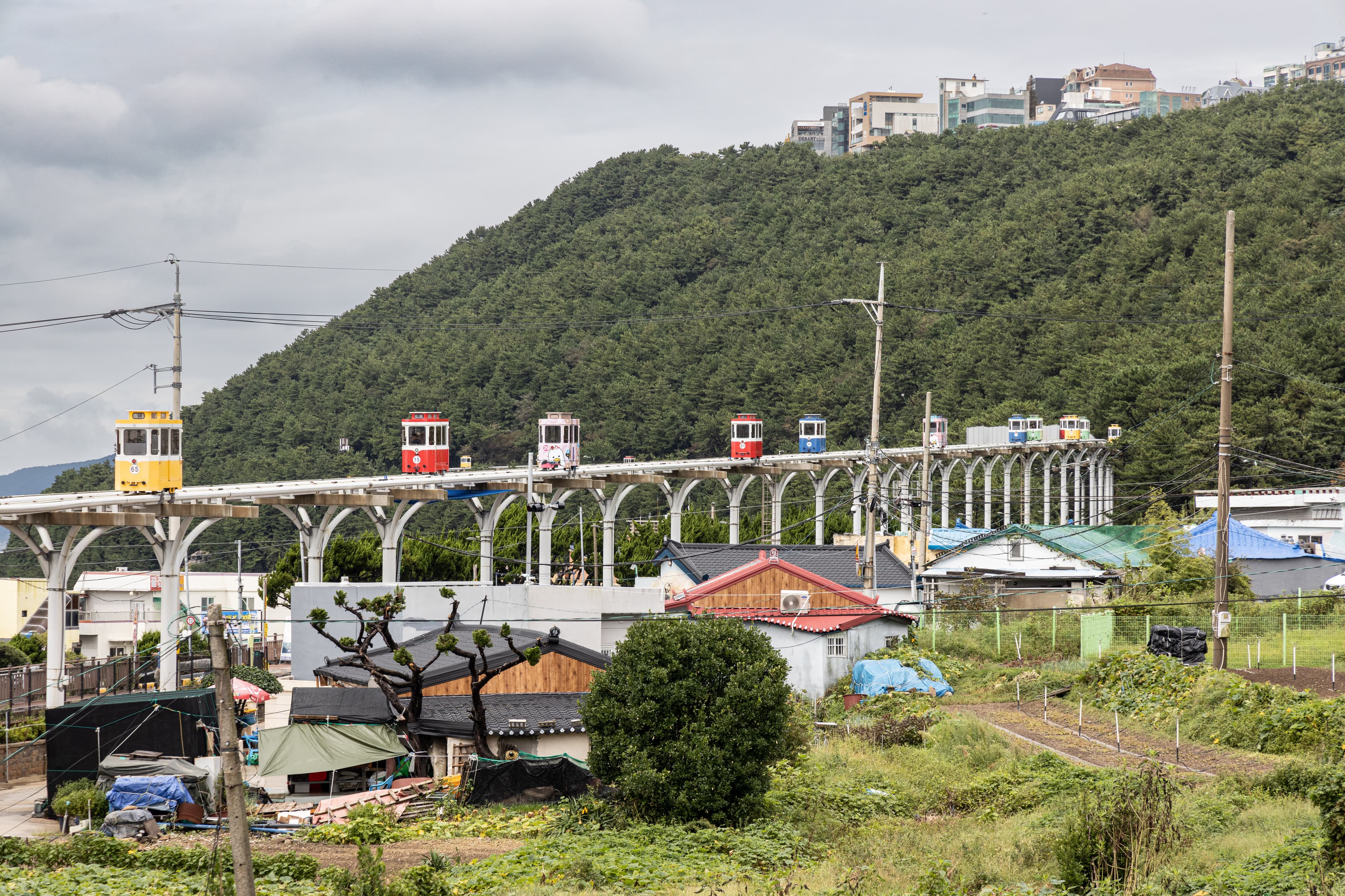 膠囊列車以時速15公里的緩慢節奏，沿著海岸線進入市區。