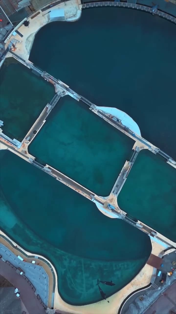 法國「安提布海洋世界」已經永久關閉，但仍有鯨豚被棄在此地。（翻攝sephlawless IG）