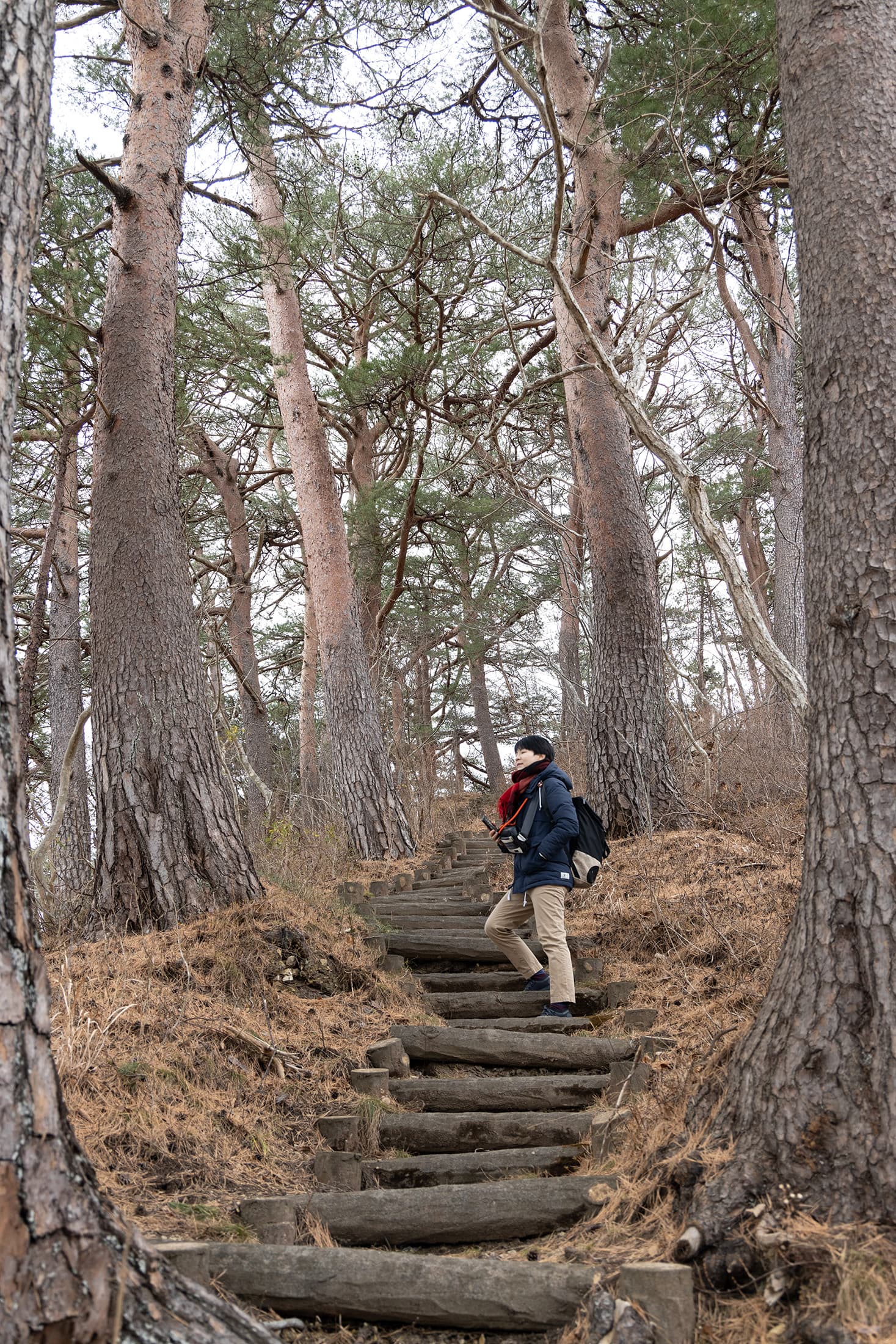海邊有不少高高低低的健行步道，可以從高處遠眺海灣景色。