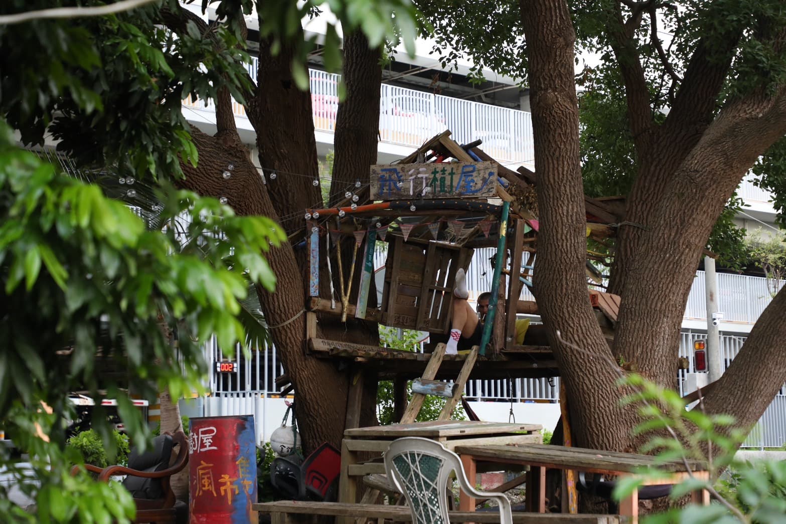 掛滿串燈的「飛行樹屋」就建於咖啡廳外的小公園樹上。