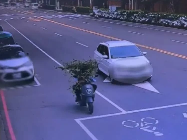 女騎士的盆栽植栽過於茂密，視線幾乎被完全遮蔽，警方表示將依法開罰。（翻攝畫面）
