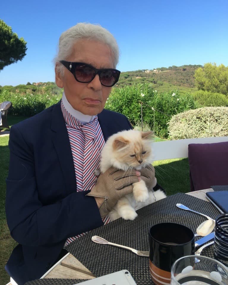 Choupette是拉格斐生前最著名的繆思之一。(翻攝karllagerfeld IG)