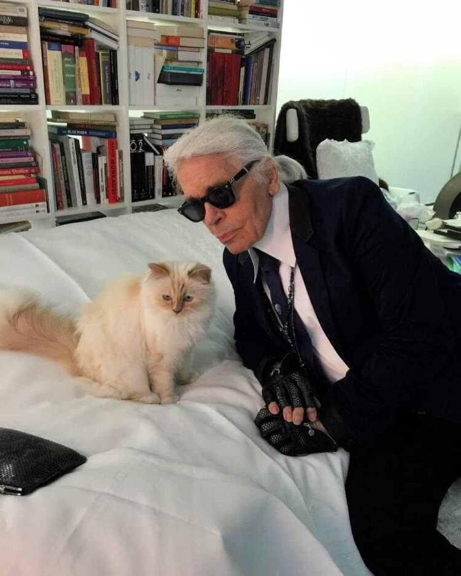 卡爾拉格斐生前視Choupette為「唯一的真愛」。(翻攝choupetteofficiel IG)